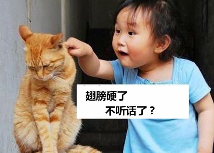 软件工程师的鄙视链