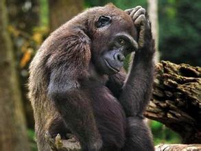 写代码的最高境界：能不写则不写、能少写则少写