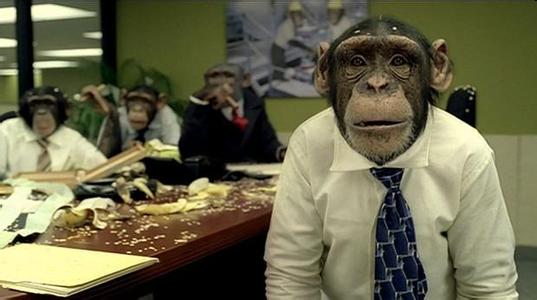 老程序员不该对新手说这些不负责任的话