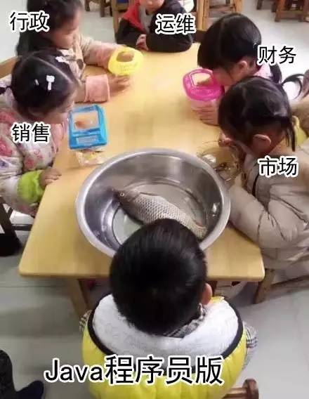 老板让明天带条鱼来观察…（程序员版）